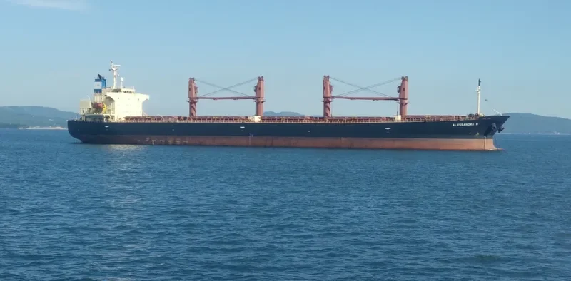 ALESSANDRA M Bulk Carrier IMO 9284518 photo 2