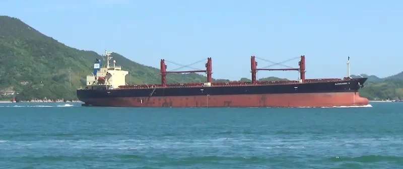 ALESSANDRA M Bulk Carrier IMO 9284518 photo 3