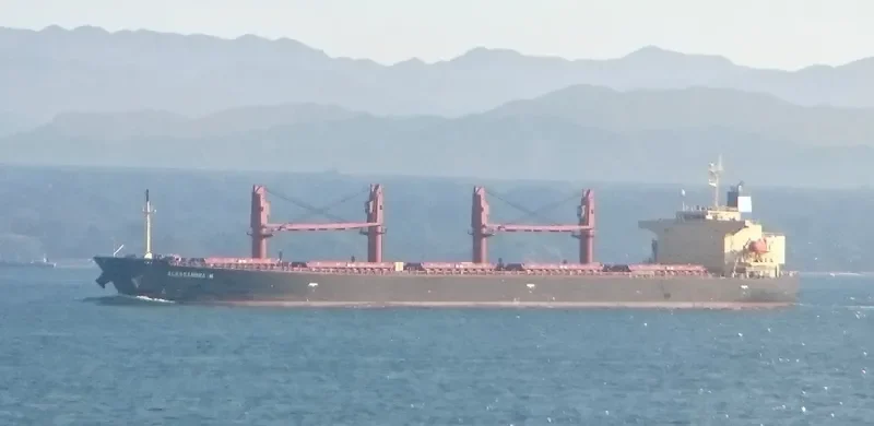 ALESSANDRA M Bulk Carrier IMO 9284518 photo 4