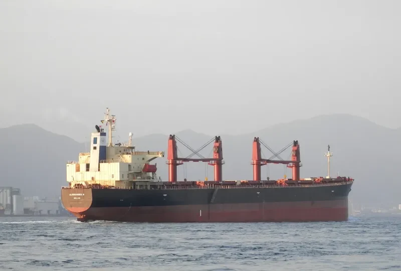 ALESSANDRA M Bulk Carrier IMO 9284518 photo 5