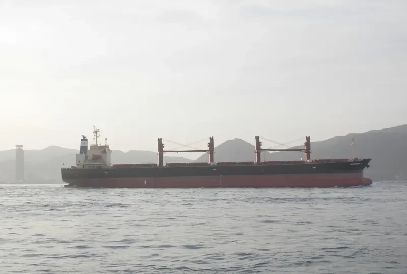 ALESSANDRA M Bulk Carrier IMO 9284518 photo 6