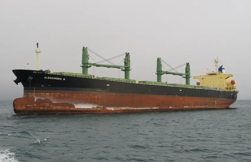 ALESSANDRA M Bulk Carrier IMO 9284518 photo 7
