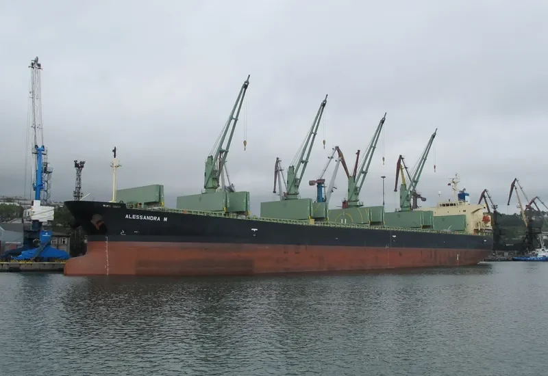 ALESSANDRA M Bulk Carrier IMO 9284518 photo 8