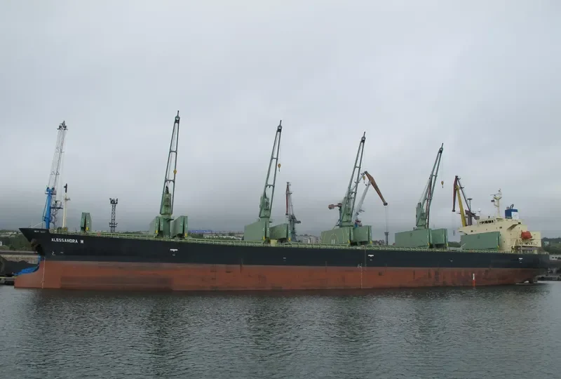 ALESSANDRA M Bulk Carrier IMO 9284518 photo 9