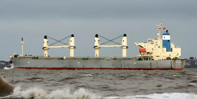 STAR HARMONY Bulk Carrier IMO 9284520 photo 7