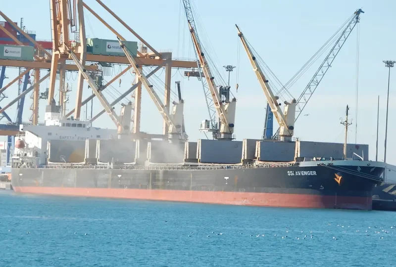 SSI AVENGER Bulk Carrier IMO 9284544 photo 2