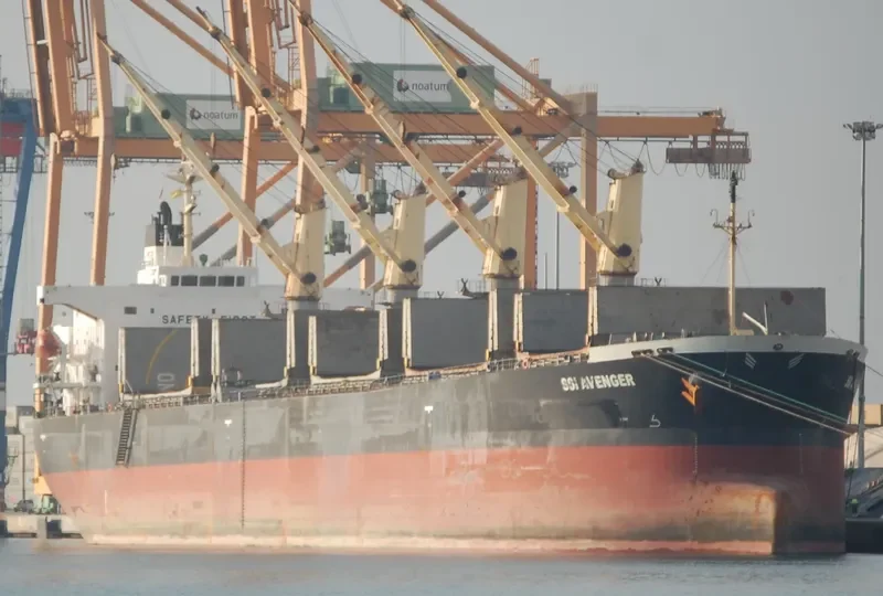 SSI AVENGER Bulk Carrier IMO 9284544 photo 3