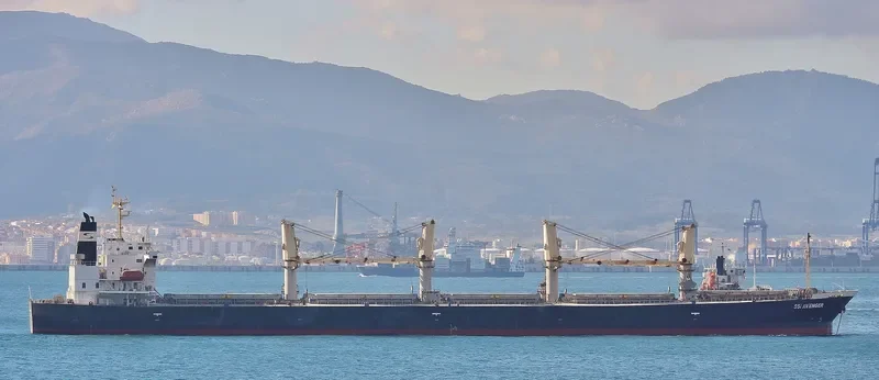 SSI AVENGER Bulk Carrier IMO 9284544 photo 5