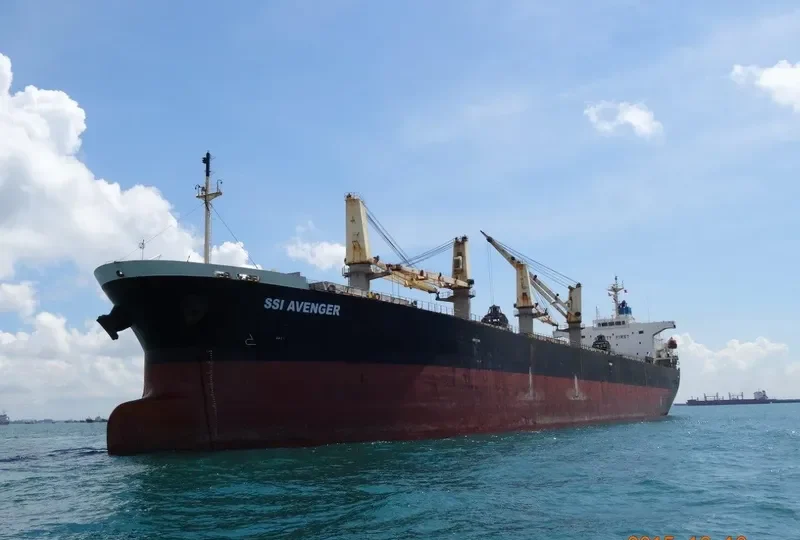 SSI AVENGER Bulk Carrier IMO 9284544 photo 6