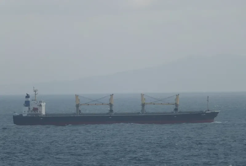 SSI AVENGER Bulk Carrier IMO 9284544 photo 7