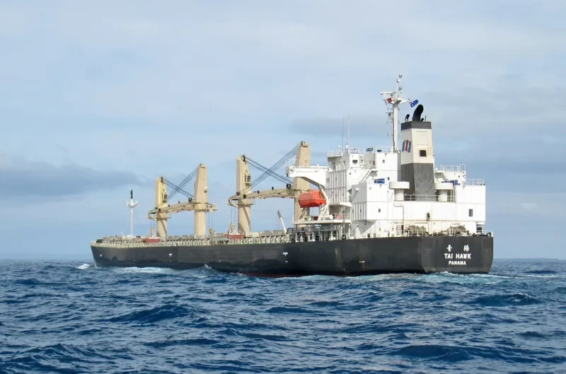 JIN FENG Bulk Carrier IMO 9284556 photo 2