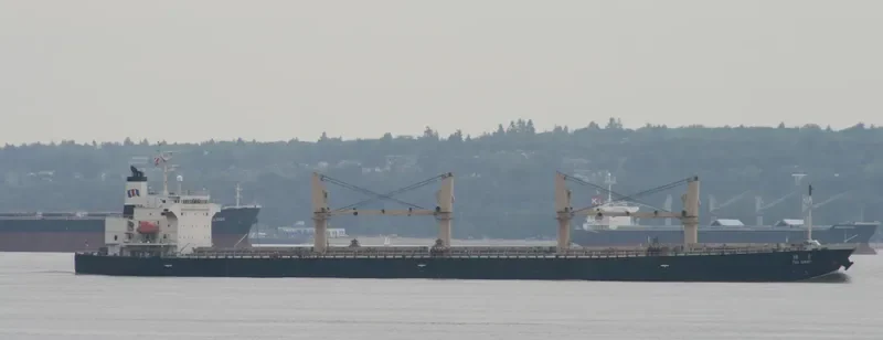 JIN FENG Bulk Carrier IMO 9284556 photo 3