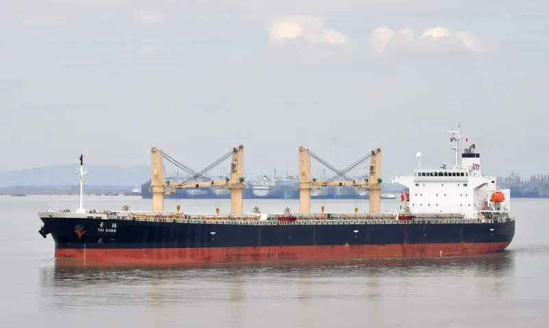 JIN FENG Bulk Carrier IMO 9284556 photo 4