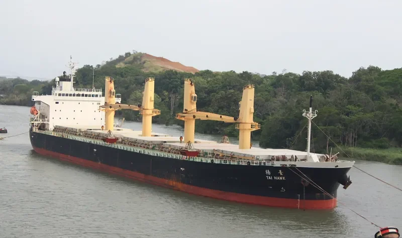 JIN FENG Bulk Carrier IMO 9284556 photo 6