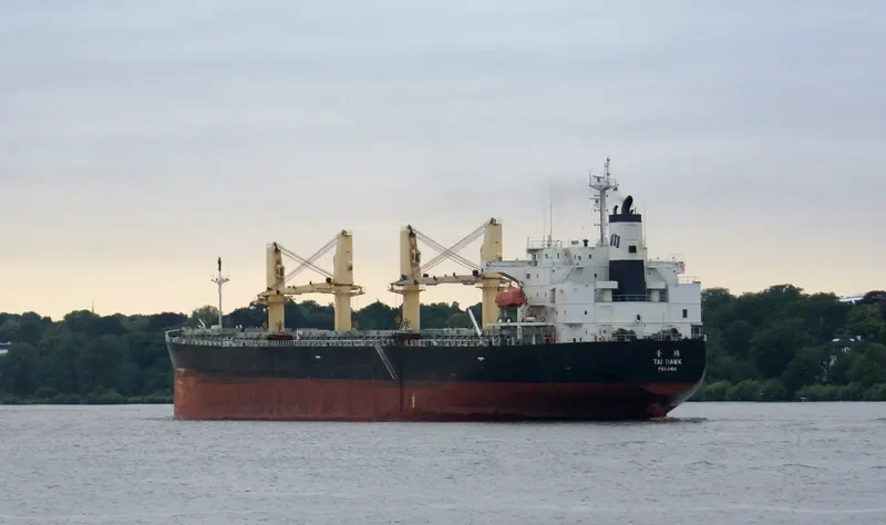 JIN FENG Bulk Carrier IMO 9284556 photo 7