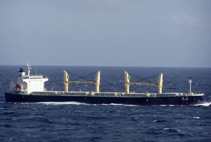 JIN FENG Bulk Carrier IMO 9284556 photo 8