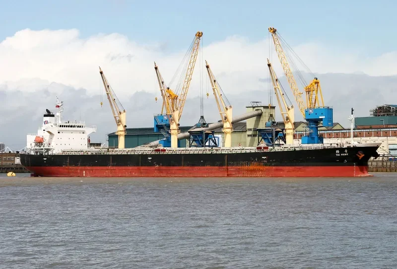 JIN FENG Bulk Carrier IMO 9284556 photo 10
