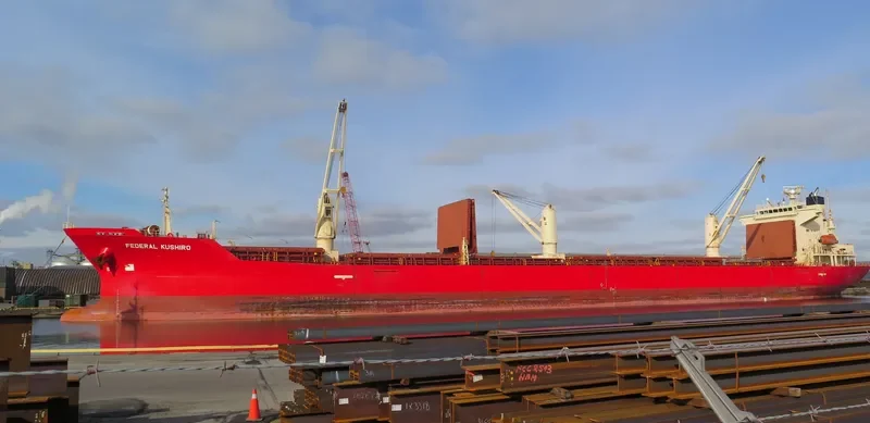 FEDERAL KUSHIRO Bulk Carrier IMO 9284702 photo 2