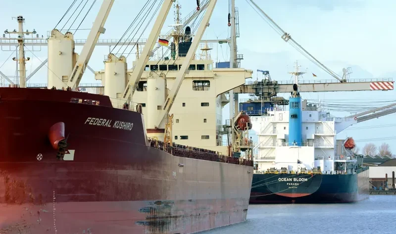 FEDERAL KUSHIRO Bulk Carrier IMO 9284702 photo 3