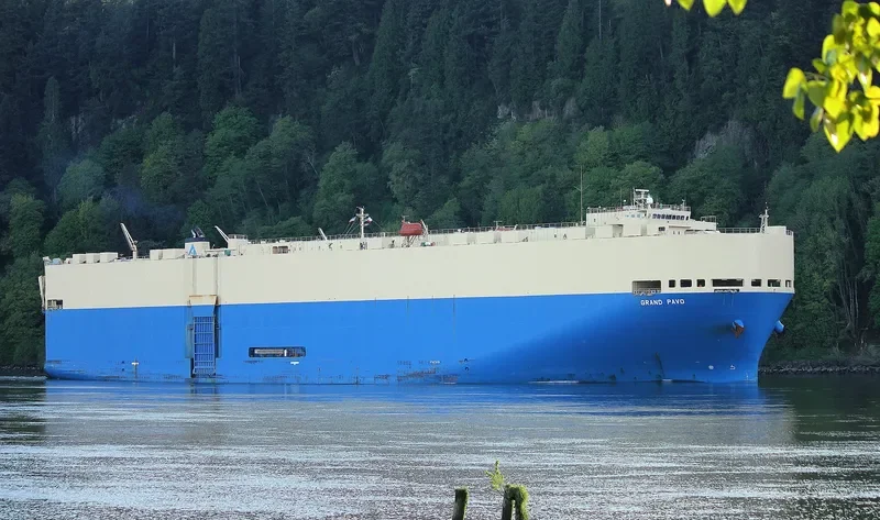 GRAND PAVO Ro-Ro IMO 9284776 photo 4