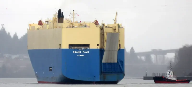 GRAND PAVO Ro-Ro IMO 9284776 photo 5