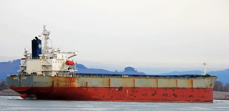 IVESTOS II Bulk Carrier IMO 9284855 photo 7