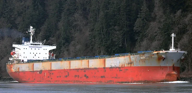 IVESTOS II Bulk Carrier IMO 9284855 photo 10