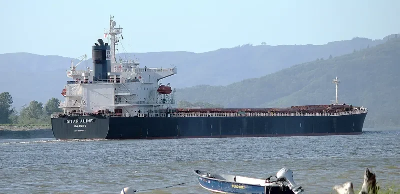 DONOUSA Bulk Carrier IMO 9284867 photo 4