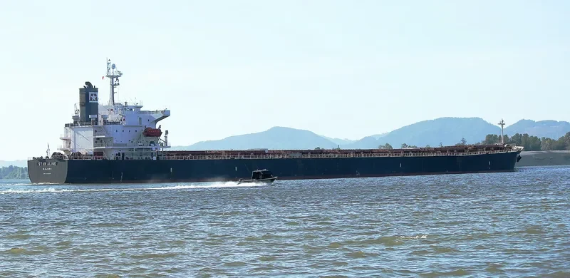 DONOUSA Bulk Carrier IMO 9284867 photo 5