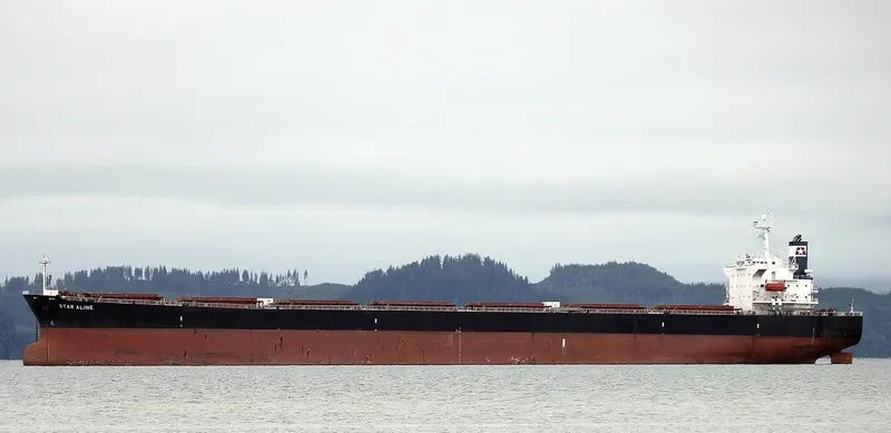 DONOUSA Bulk Carrier IMO 9284867 photo 6