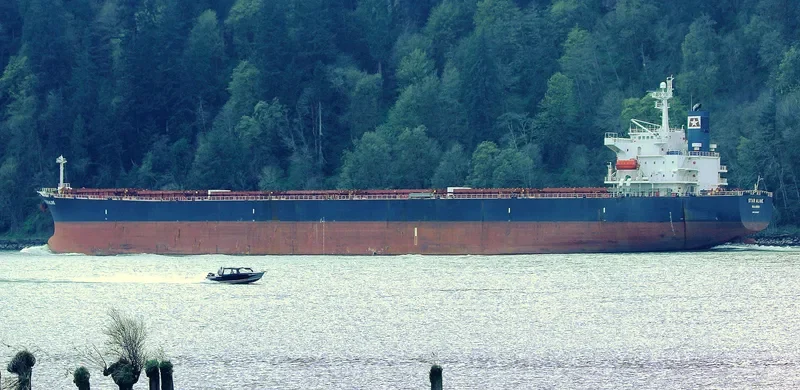 DONOUSA Bulk Carrier IMO 9284867 photo 7