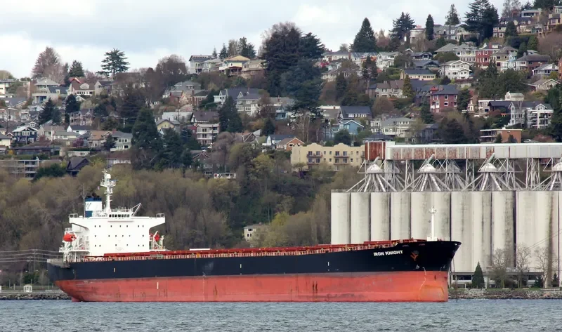 DONOUSA Bulk Carrier IMO 9284867 photo 8