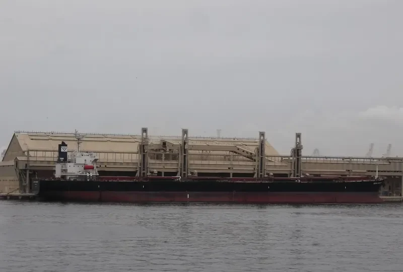 DONOUSA Bulk Carrier IMO 9284867 photo 9