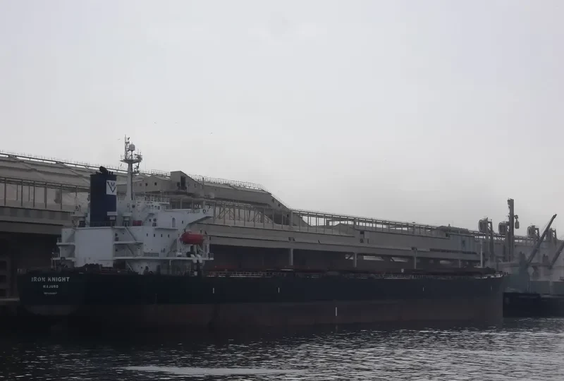 DONOUSA Bulk Carrier IMO 9284867 photo 10