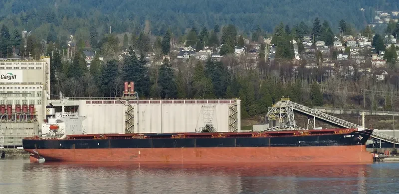 EIRINI P Bulk Carrier IMO 9284879 photo 2