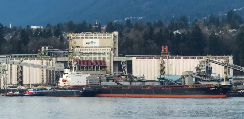 EIRINI P Bulk Carrier IMO 9284879 photo 4