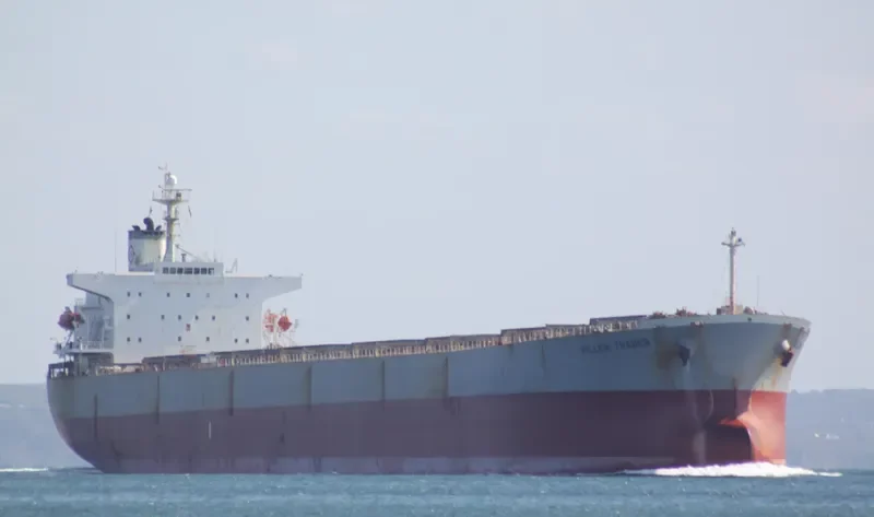 EIRINI P Bulk Carrier IMO 9284879 photo 7