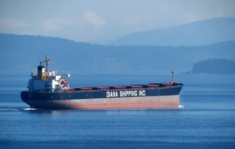 PRINCESS KATHERINE Bulk Carrier IMO 9284881 photo 5