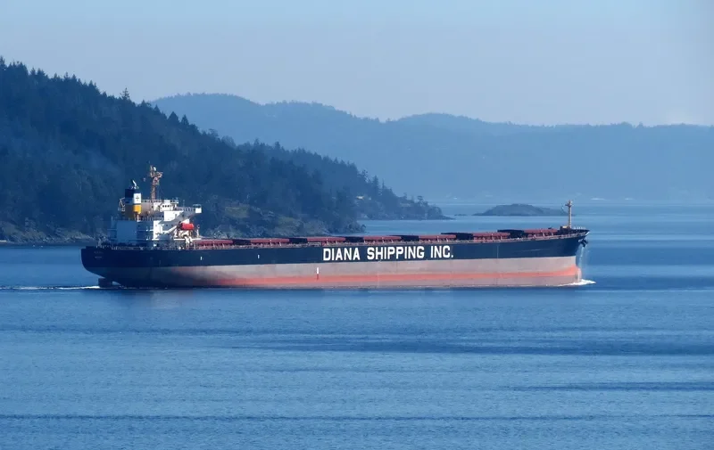 PRINCESS KATHERINE Bulk Carrier IMO 9284881 photo 6