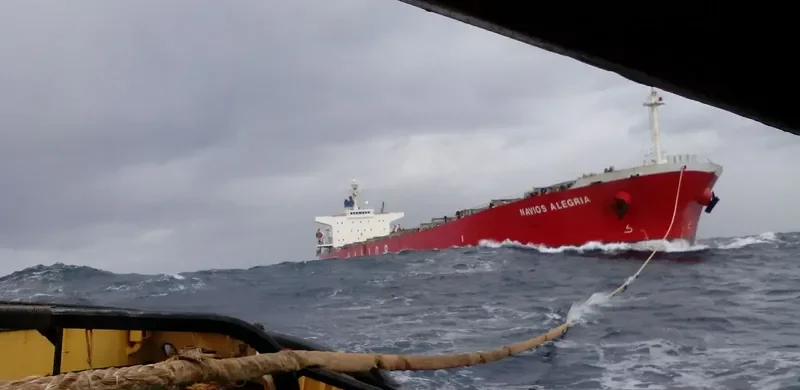 NAVIOS ALEGRIA Bulk Carrier IMO 9284893 photo 4