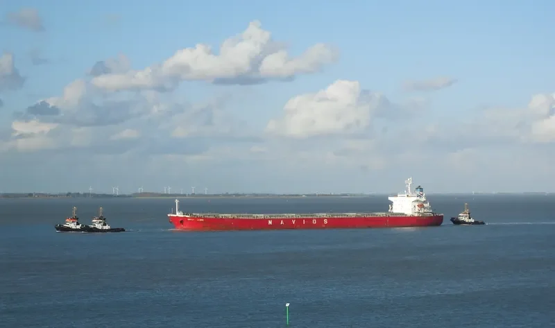 NAVIOS ALEGRIA Bulk Carrier IMO 9284893 photo 6