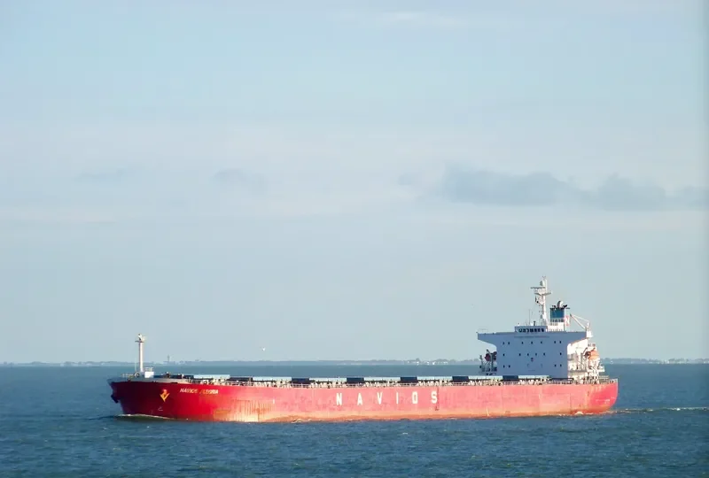 NAVIOS ALEGRIA Bulk Carrier IMO 9284893 photo 10