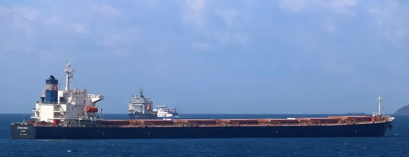 STAR EMILY Bulk Carrier IMO 9284908