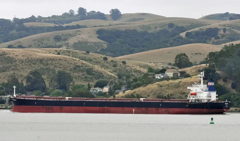 STAR EMILY Bulk Carrier IMO 9284908 photo 3
