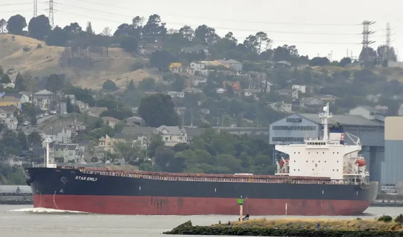 STAR EMILY Bulk Carrier IMO 9284908 photo 4
