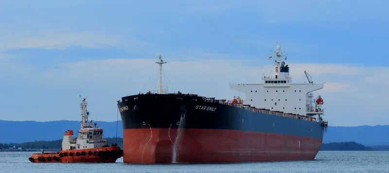 STAR EMILY Bulk Carrier IMO 9284908 photo 5