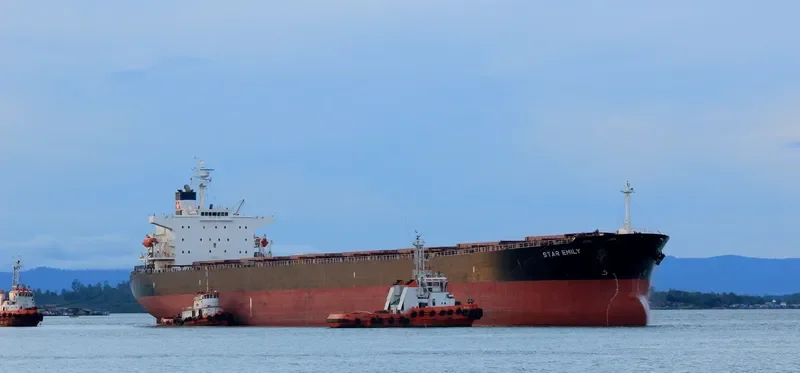 STAR EMILY Bulk Carrier IMO 9284908 photo 6