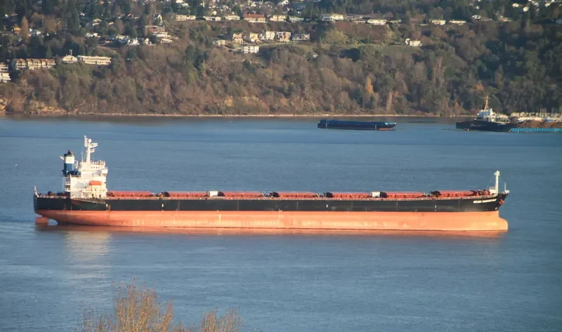 STAR EMILY Bulk Carrier IMO 9284908 photo 7