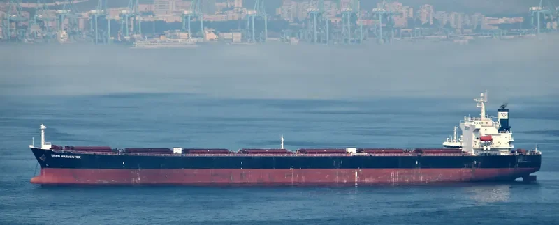 STAR EMILY Bulk Carrier IMO 9284908 photo 9