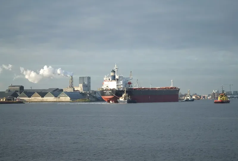 STAR EMILY Bulk Carrier IMO 9284908 photo 10